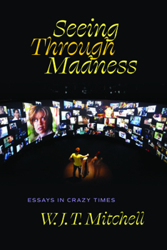 Seeing Through Madness: Essays in Crazy Times