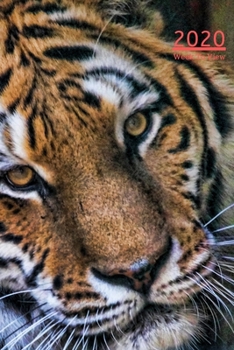 2020 A5 Diary Week To View Planner For All Occasions: | Year Planner For Business, Office, Home, University, College, School, Appointments, Organizer.