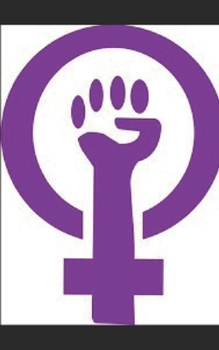 Paperback Diccionario Feminista [Spanish] Book