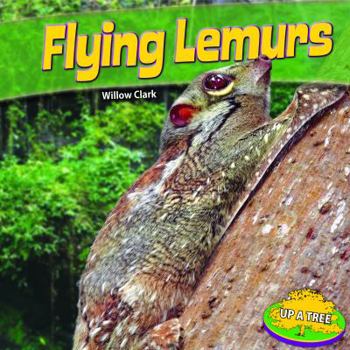 Library Binding Flying Lemurs Book