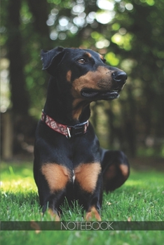 Notebook: Doberman pinscher prone lying on grass [110 pages]: Doberman pinscher prone lying on grass