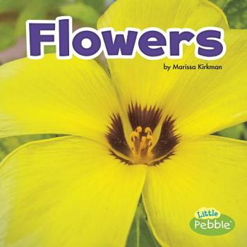 Paperback Flowers Book