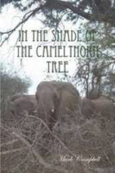 Paperback In The Shade Of The Camelthorn Tree Book