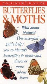 Paperback Butterflies & Moths Book