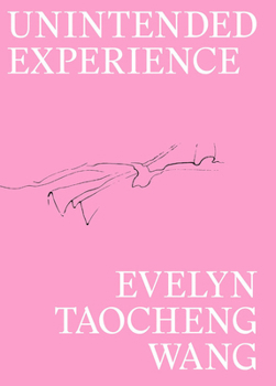 Paperback Evelyn Taocheng Wang: Unintended Experience: A Job in Amsterdam Book