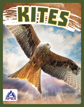 Paperback Kites Book