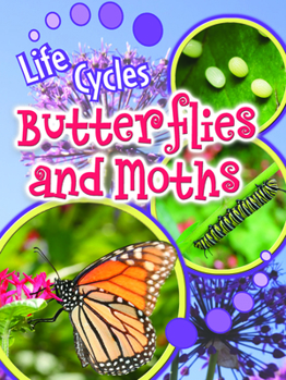 Paperback Butterflies and Moths Book