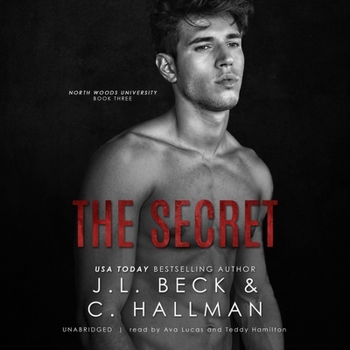 MP3 CD The Secret Book