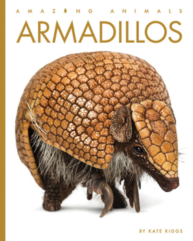 Armadillos - Book  of the Amazing Animals