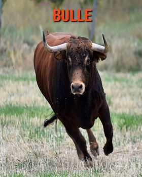 Bulle: Sch�ne Bilder & Kinderbuch mit interessanten Fakten �ber Bulle