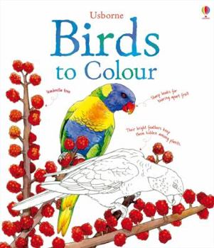 Paperback Birds to Colour Book
