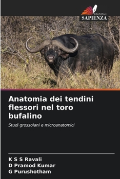 Paperback Anatomia dei tendini flessori nel toro bufalino [Italian] Book