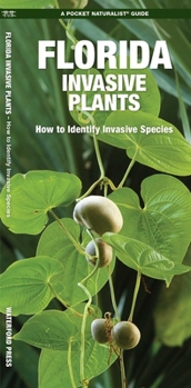 Paperback Florida Invasive Plants: How to Identify Invasive Species Book