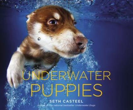 Hardcover Underwater Puppies Book