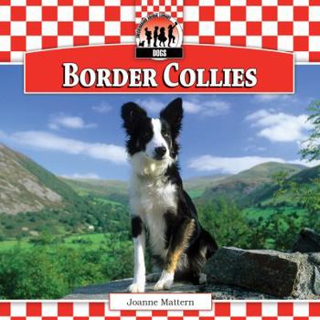 Border Collies - Book  of the Dogs