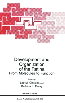 Development and Organization of the Retina: From Molecules to Function (Nato Science Series: A:)