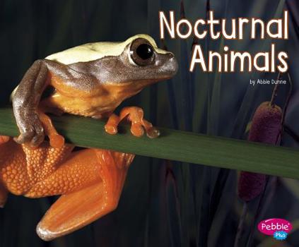 Hardcover Nocturnal Animals Book