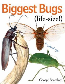 Hardcover Biggest Bugs Life-Size Book