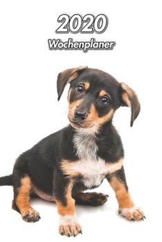 2020 Wochenplaner: Dackel Welpe | 107 Seiten, 15cm x 23cm ca. A5 | Taschenkalender | Terminplaner | Tagebuch | Terminkalender | Organizer für Hundeliebhaber (German Edition)