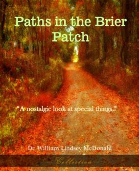 Paperback Paths in the Brier Patch Book