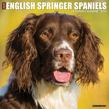 Calendar Just English Springer Spaniels 2024 12 X 12 Wall Calendar Book