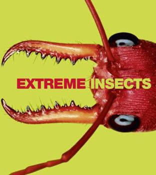 Hardcover Extreme Insects Book
