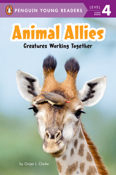 Hardcover Animal Allies: Creatures Working Together Book