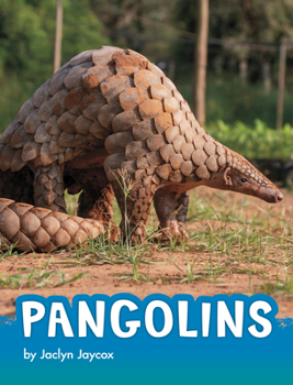 Hardcover Pangolins Book