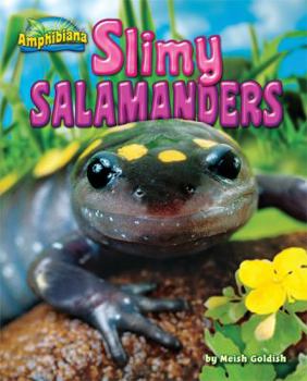 Slimy Salamanders - Book  of the Amphibiana