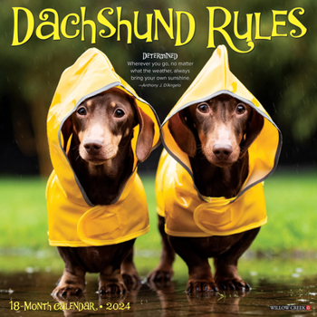 Calendar Dachshund Rules 2024 12 X 12 Wall Calendar Book
