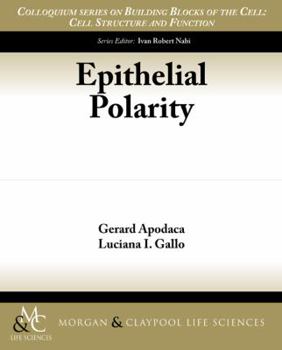 Paperback Epithelial Polarity Book