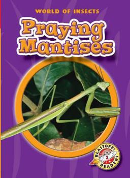 Praying Mantises (Blastoff Readers: World of Insects) (Blastoff Readers: World of Insects) (World of Insects) - Book  of the World of Insects