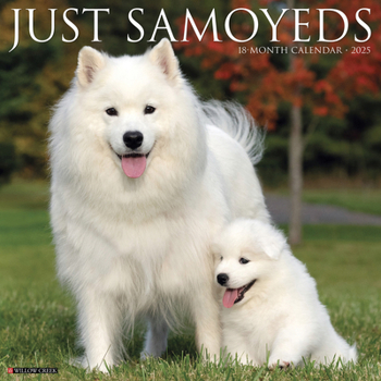 Calendar Just Samoyeds 2025 12 X 12 Wall Calendar Book