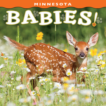 Board book Minnesota Babies! Book