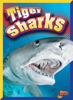 Paperback Tiger Sharks Book