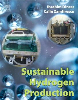 Paperback Sustainable Hydrogen Production Book