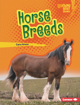 Library Binding Horse Breeds Book