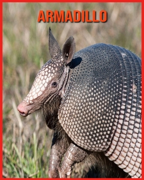 Armadillo: Fascinating Armadillo Facts for Kids with Stunning Pictures!