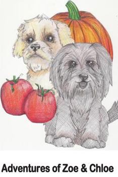 Paperback Adventures of Zoe and Chloe Book