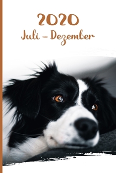 Kalender 2020: Border Collie Hunde Tageskalender 2. Halbjahr Juli Dezember ca DIN A5 weiß über 190 Seiten (German Edition)