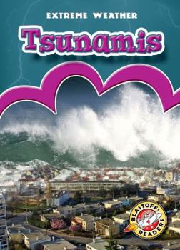Paperback Tsunamis Book