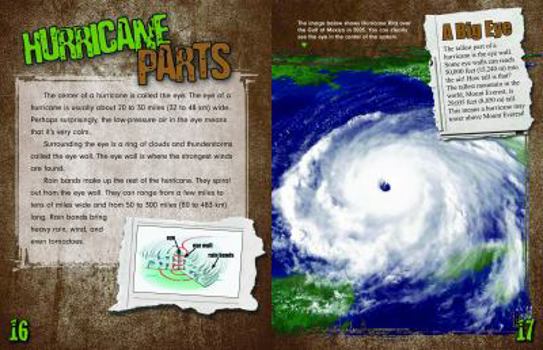 Paperback Destructive Hurricanes Book
