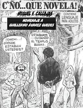 Paperback C'Ño Que Novela!!! [Spanish] Book