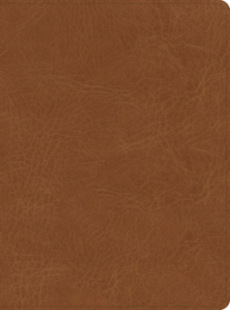 CSB He Reads Truth Bible, Midnight Cloth-Over-Board (Limited Edition)