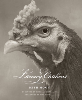 Hardcover Literary Chickens Book