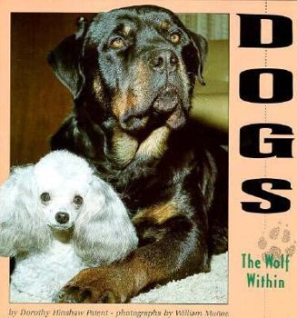Paperback Dogs: The Wolf Within (Understanding Animals) Book