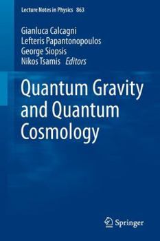 Paperback Quantum Gravity and Quantum Cosmology Book