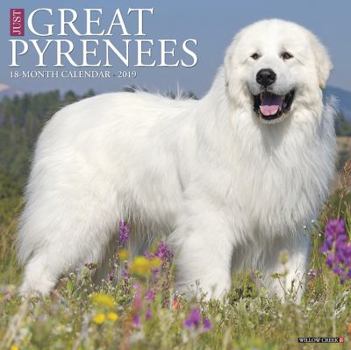 Calendar Just Great Pyrenees 2019 Wall Calendar (Dog Breed Calendar) Book