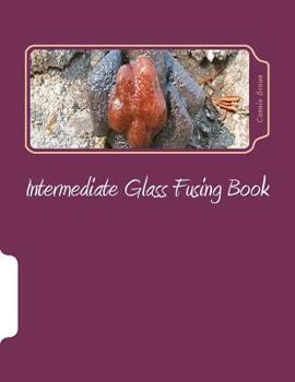 Paperback Intermediate Glass Fusing Book: Intermediate Glass Fusing Projects Book