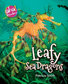 Paperback Leafy Sea Dragons Book